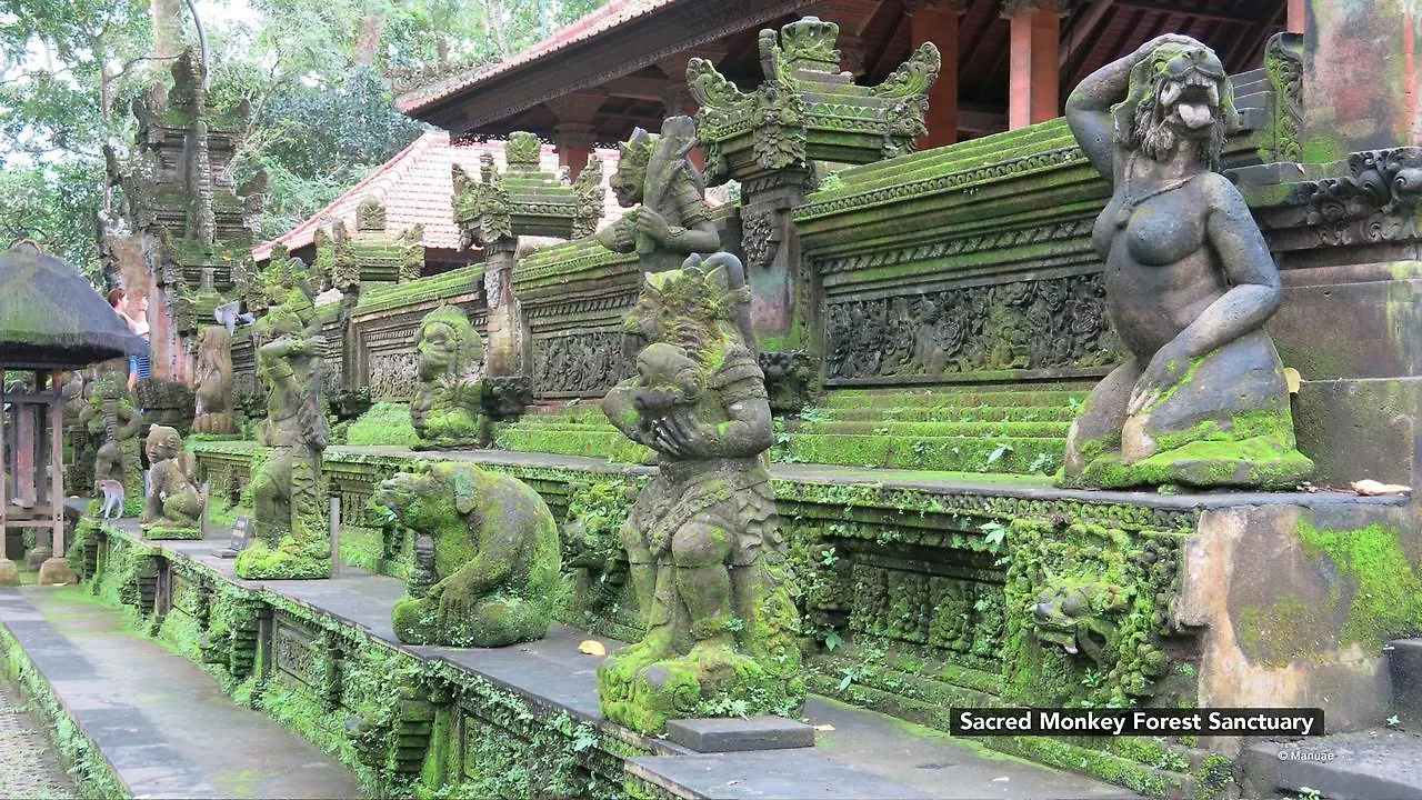Zen Rooms Ubud Laplapan 0*,